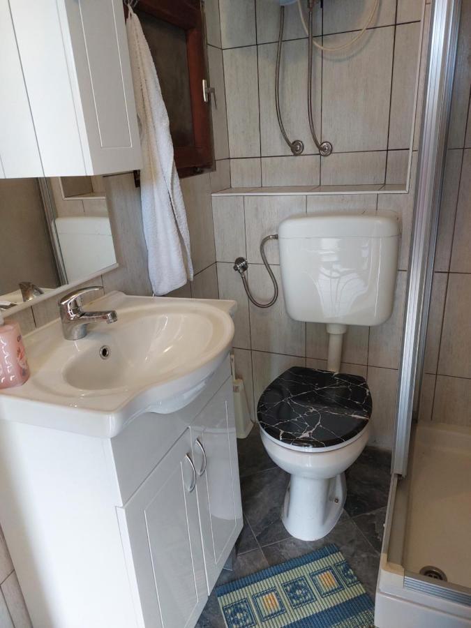 סטיניצה Apartmani Igercic מראה חיצוני תמונה